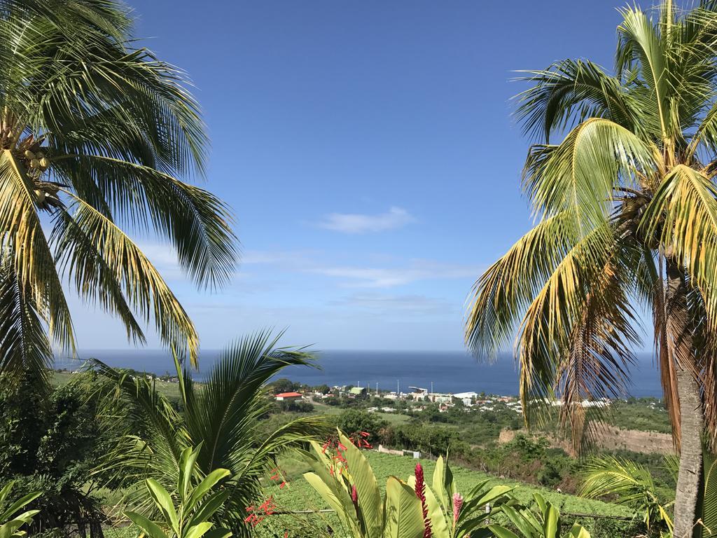 Residence Paradis Tropical Basse-Terre Zewnętrze zdjęcie