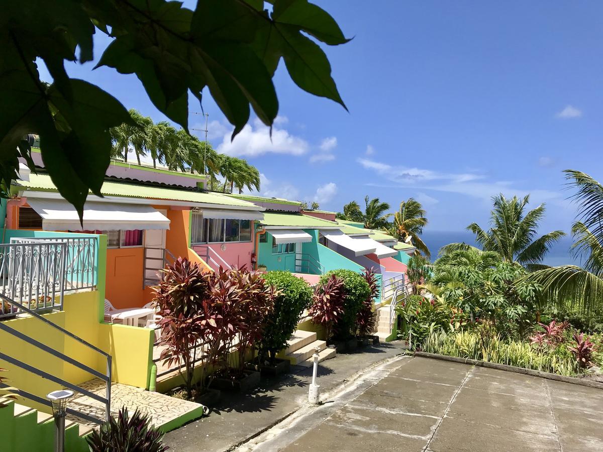 Residence Paradis Tropical Basse-Terre Zewnętrze zdjęcie