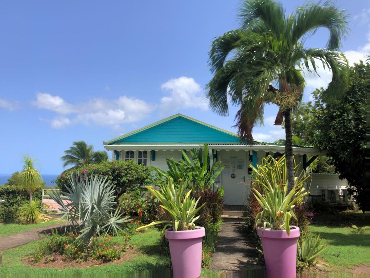Residence Paradis Tropical Basse-Terre Zewnętrze zdjęcie