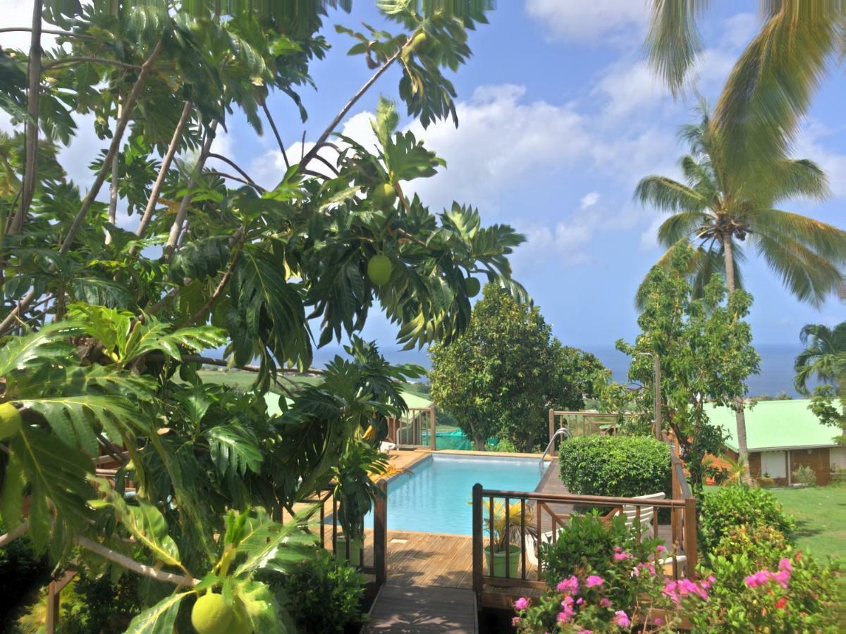 Residence Paradis Tropical Basse-Terre Zewnętrze zdjęcie