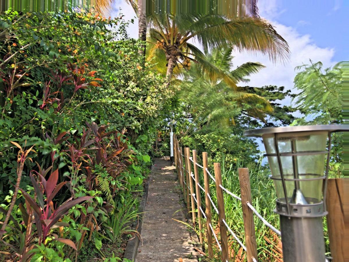 Residence Paradis Tropical Basse-Terre Zewnętrze zdjęcie