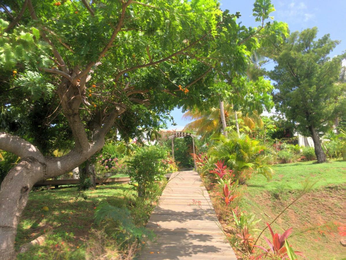 Residence Paradis Tropical Basse-Terre Zewnętrze zdjęcie