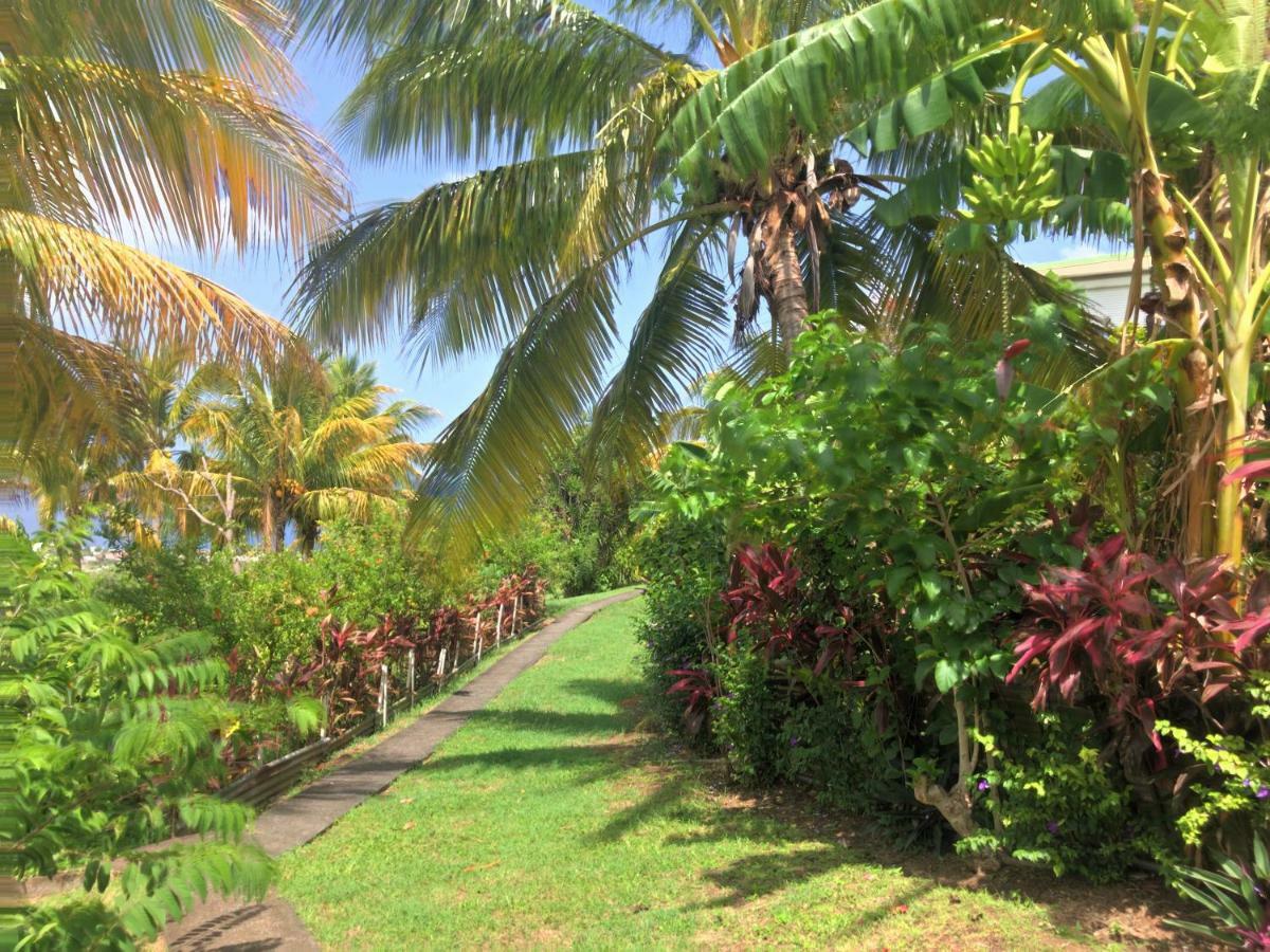 Residence Paradis Tropical Basse-Terre Zewnętrze zdjęcie