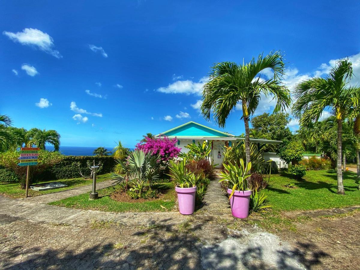 Residence Paradis Tropical Basse-Terre Zewnętrze zdjęcie